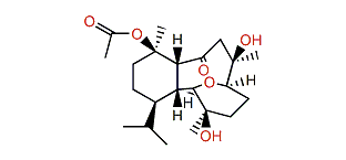 Australin A